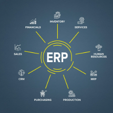 ERP Systems